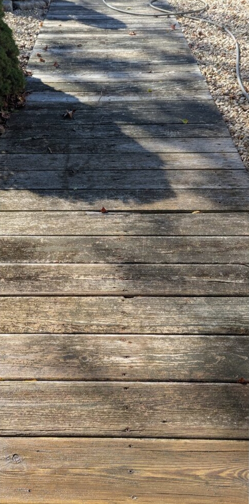 Boardwalk before cleaning