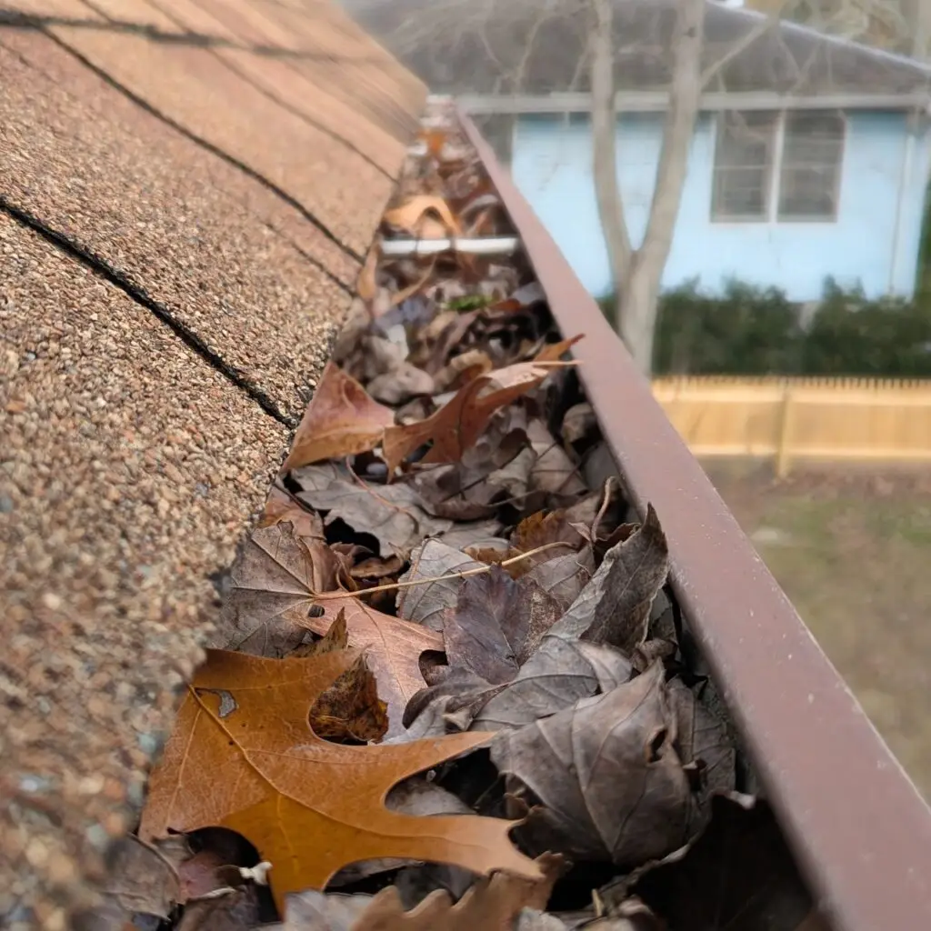 Before gutter cleaning